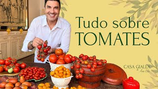 QUAL TOMATE USAR NAS SUAS RECEITAS? - CASA GIALLA