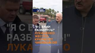 Лукашенко жестко разнес чиновников за безответственность!   #лукашенко #беларусь #батька #батькатоп