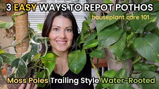 Anyone tried the “pin” method on their pothos? : r/houseplants