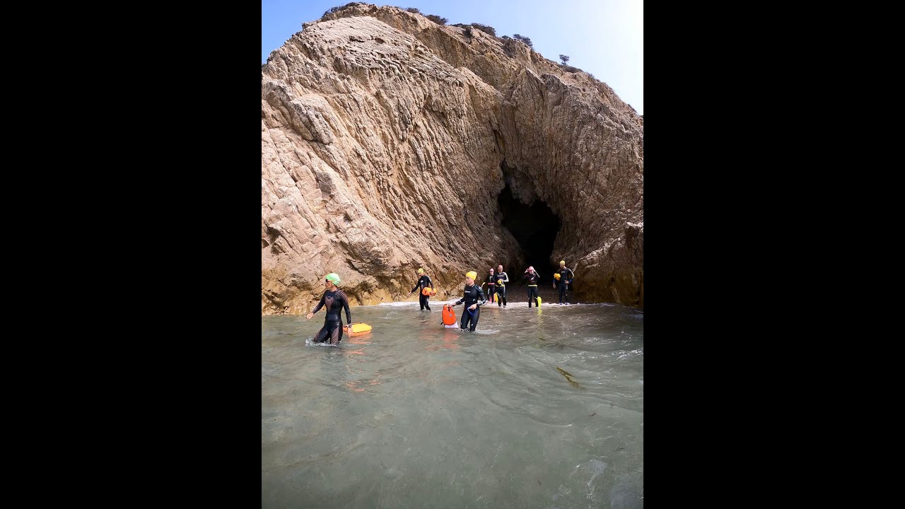 Anyone needing to swim in Sesimbra? 😃🐬