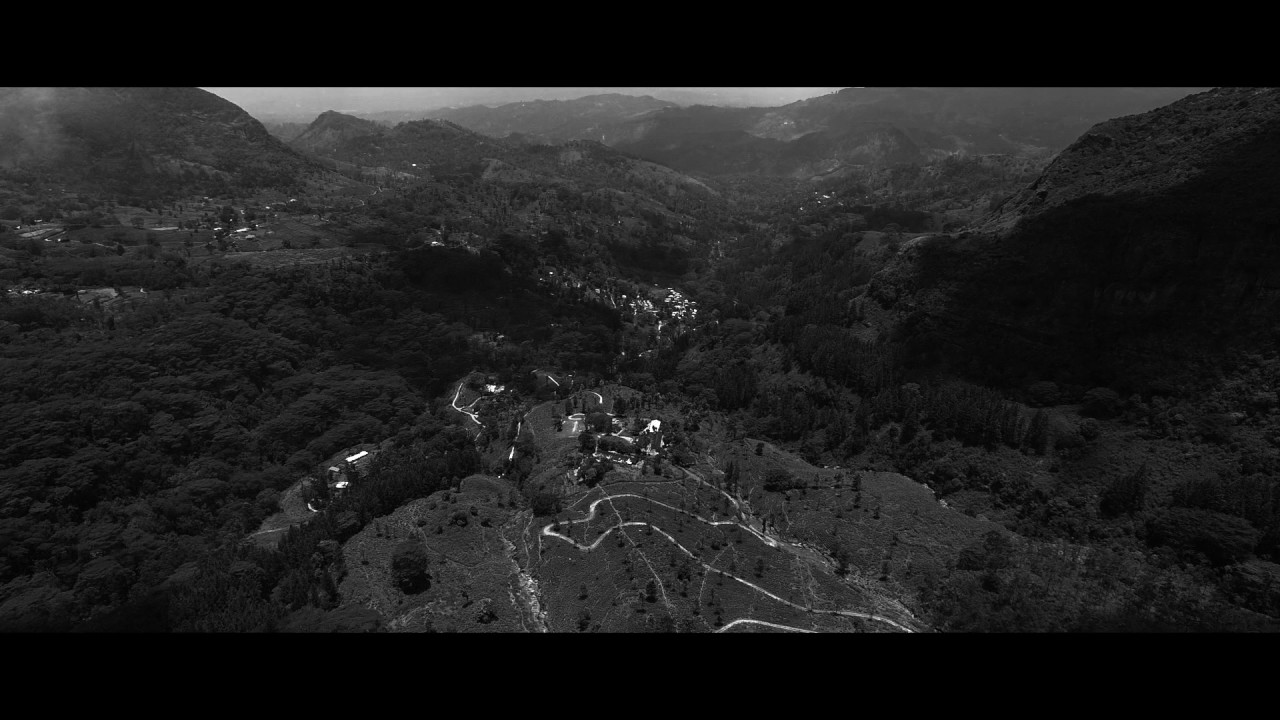 Jonas Colstrup - Flow