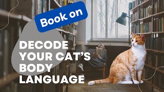 Decode Your Cat’s Body Language and Strengthen Your Bond!