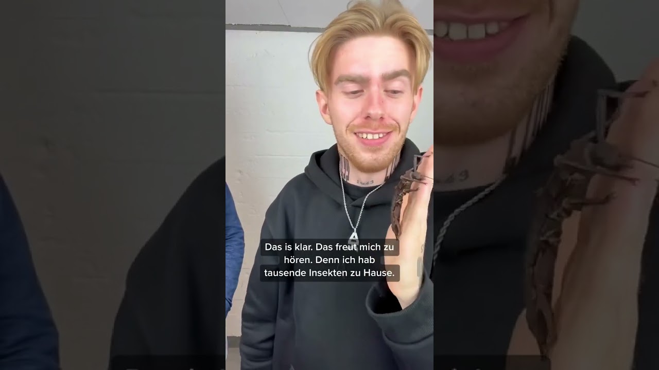 Kann man die Miete mindern bei Insektenbefall? 