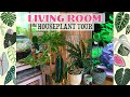 Indoor Jungle Tour 🌴 Plant Names 🌿 Jungle Decor 🐆💚