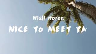 Niall Horan - Nice To Meet Ya lirik | Terjemahan