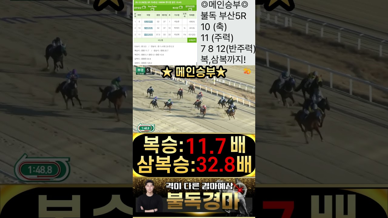 불독의 부산 메인승부! 적중은 기본이고 삼복승 까지 싹다 때립니다 경마는 이제 불독 입니다