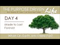 Purpose driven life  day 4