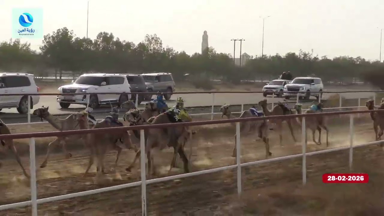فيديو ميدان السد 28.02.2026 يوم السبت شارة صندوق السد 