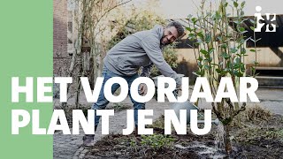 Neem Een Voorsprong Op Het Voorjaar - Intratuin