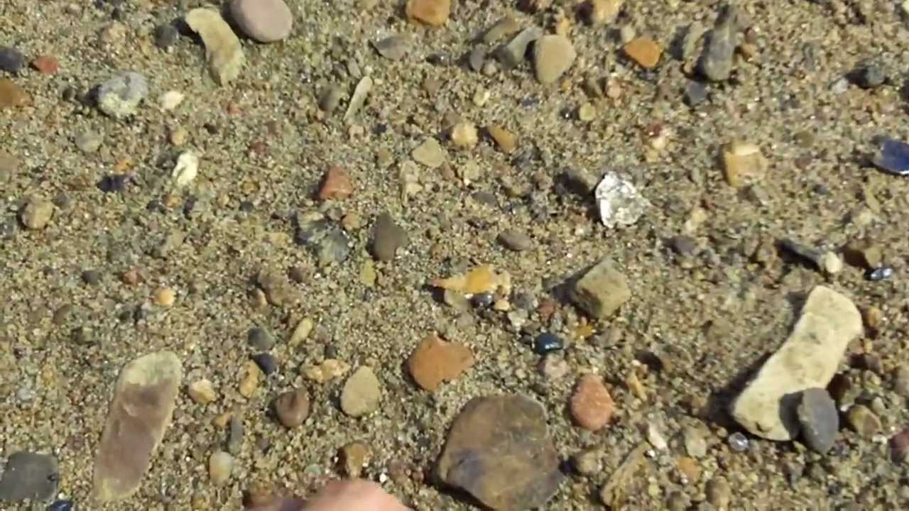 Vukodlak Productions-  Scallorn Bird Point-  Florence-A chert, heat-treated tip  (Blood on the Tip)