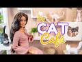 How to make a mini cat caf  cat room  barbie crafts