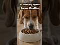 3 Silent Signs Your Dog May Need Help