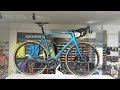 Basso Diamante 2019- Dream bike Build