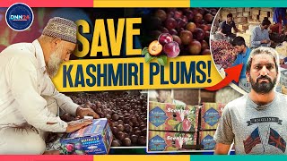 Kashmiri Plum Growers Urge For Market Reform To Secure Their Agricultural Heritage &amp; Livelihoods