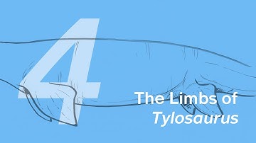 Evan the Tylosaurus 4: The Limbs | Learn to Draw Marine Animals with ZHAO Chuang