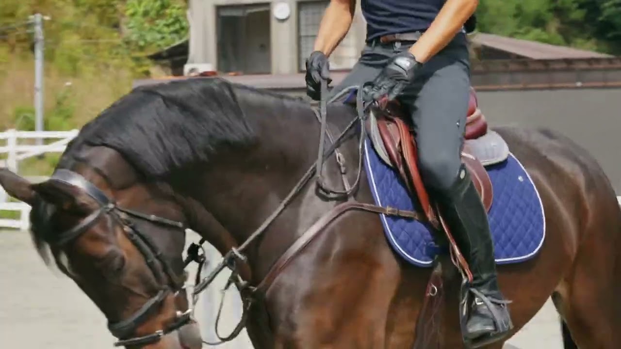 障害馬術のレッスンは月ヶ瀬乗馬クラブ