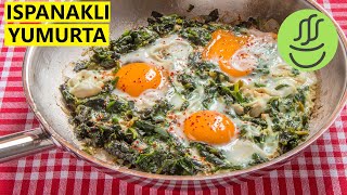 Ispanaklı Yumurta - Yumurtalı Ispanak Resimi