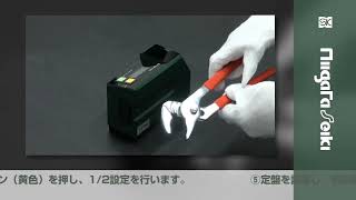 Levelnic DL-S4W by NIIGATA SEIKI