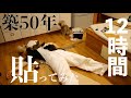 ＃20【古く汚いキッチンDIY】素人でも簡単にフロアタイル貼れるって本当!?超劇的ビフォーアフター!!!