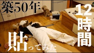 20【古く汚いキッチンDIY】素人でも簡単にフロアタイル貼れるって本当!?超劇的ビフォーアフター!!!