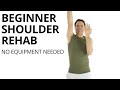 Beginner shoulder rehab exercises for scapular stabilization and rotator cuff no equipment