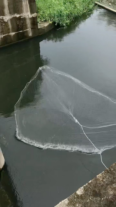 May nanngisda dto tingnan natin kung makahuli dto sa malalim dam