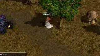 Lv81 Rolling Log PLV Princess solo Hemcroth on Redstone