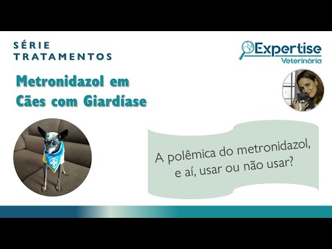 Vídeo: Metronidazol Para Cães E Gatos