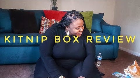 What came in my Kitnipbox?? Kitnip box 2018