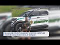 SCSO K-9 to get bullet &amp; stab protection vest
