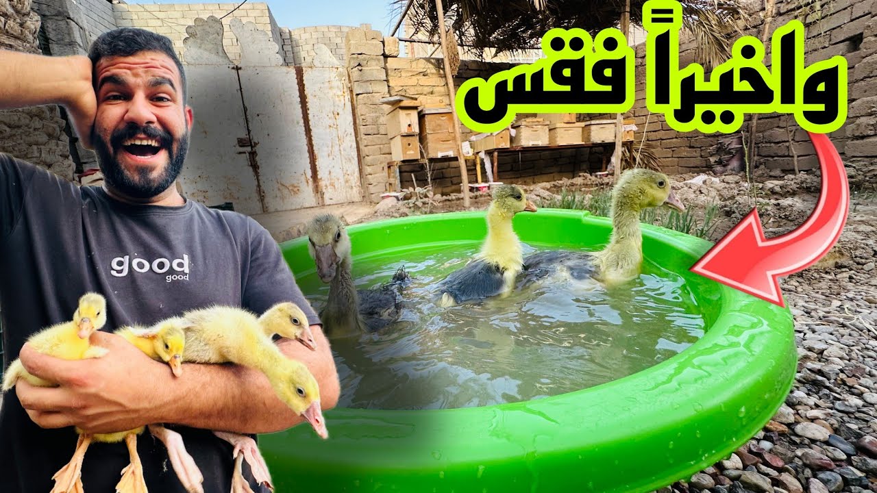 انقاذ المزرعة من حر الصيف 🥵