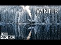 WINTER WONDERLAND SNOW 4K Winter Magic Relaxing Music For Stress Relief mp3