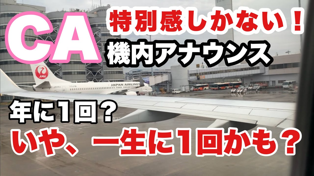 【スペシャル】 ◯◯に1度だけのスペシャルな機内アナウンス！ JAL機内アナウンス【IBA-AIR】