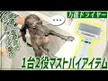 ブラシ＆ドライヤー一体型の超オススメグッズでワンちゃんをシャンプー