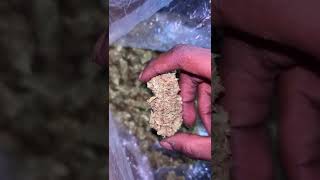 ⚠️ No More THCA Flower in Texas Soon?!