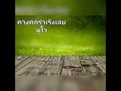 คางคกร่าเริงเลย - นูโว