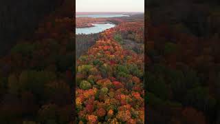 Drone shows breathtaking peak fall color in Northern Michigan