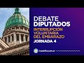 Interrupción Voluntaria del Embarazo: Día 4 - Cámara de Diputados 2020