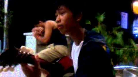 Artis golden