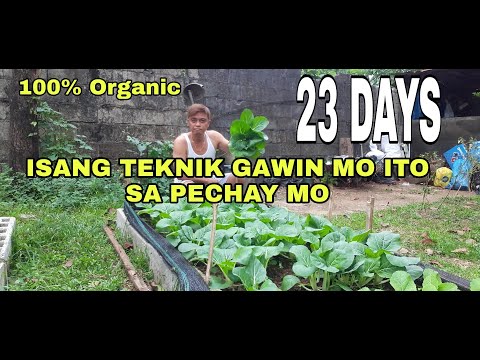 Video: Mga Tip Para sa Pagtatanim ng Bulaklak sa Labas Pagkatapos ng Pagpipilit sa Taglamig