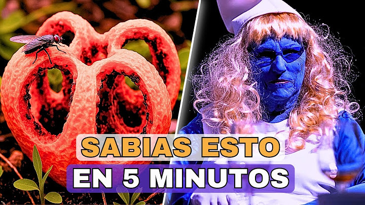 25 Things You Didn't Know 5 Minutes Ago!! 🔥⏰😲 [9]