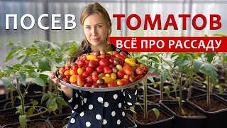 ПОСАДКА ТОМАТОВ | РАСТУТ В 2 РАЗА БЫСТРЕЕ | Первая и единственная подкормка рассады | Обзор погреба