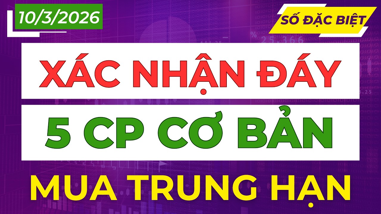 Xác Nhận Đáy: Top 5 Cổ Phiếu Tăng Trưởng Mua Trung Hạn Ngay