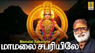 மாமலை சபரியிலே | a song from the Album Pallikkattu Sung by Veeramani Raju | Mamalai Sabariyile