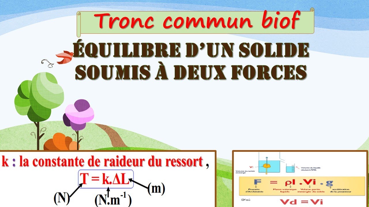 EQUILIBRE D'UN SOLIDE SOUS L'ACTION DE DEUX FORCES TRONC COMMUN SCIENTIFIQUE BIOF