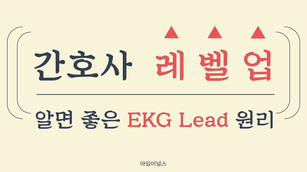 [아임어널스] 간호사가 알면 좋은 EKG 12 Lead의 원리