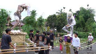 SERU BANGET PAWAI OGOH OGOH HANOMAN DAN CELULUK KELILING DESA