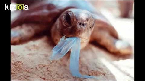 Kizoa Movie - Video - Slideshow Maker: Water Pollution