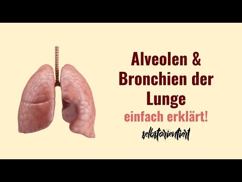 Video: Warum sind Alveolarwände so dünn?