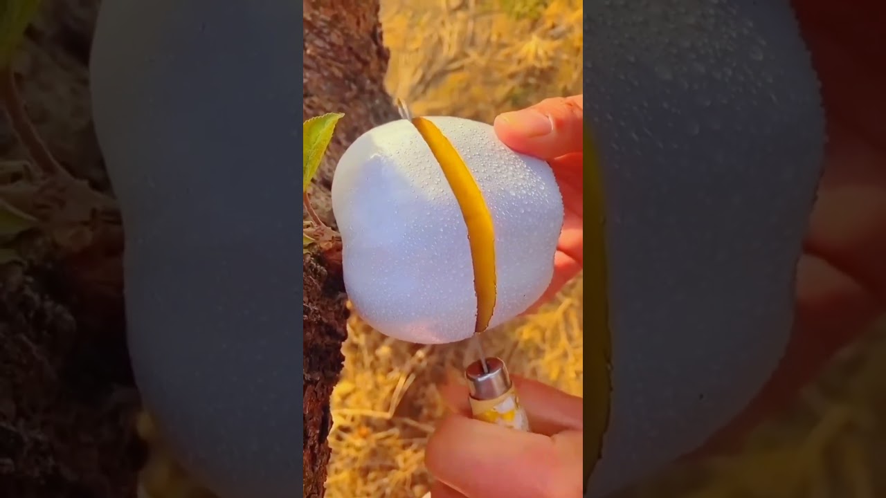 Chinese fruit 🍓🍑🍓